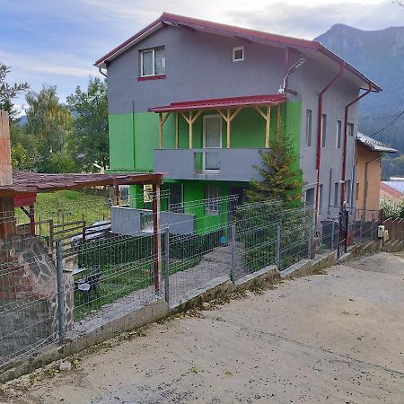 Vila Cri Cri Buşteni Exterior foto
